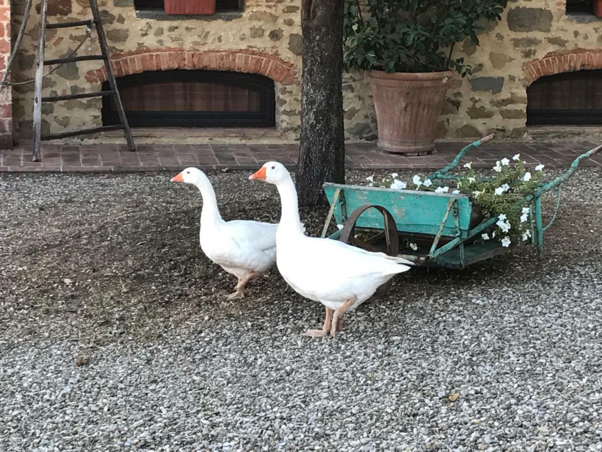 Podere La Fausta Serravalle Pistoiese Eksteriør bilde