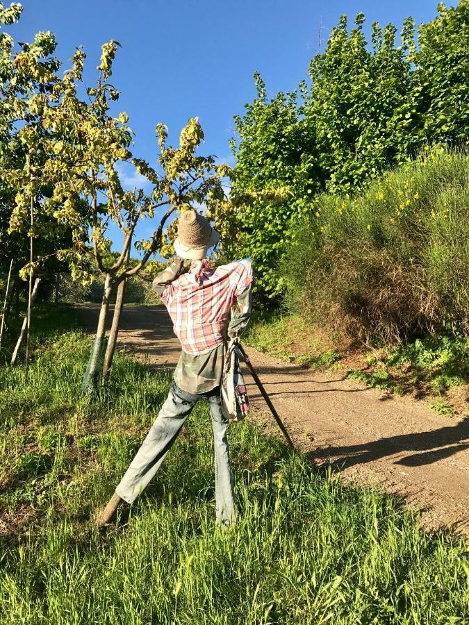 Podere La Fausta Serravalle Pistoiese Eksteriør bilde